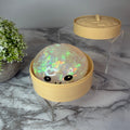 Squishy Toy - Viral Dumpling, Clear Holographic